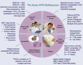2016 Research Highlights from the APGI