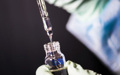 Cancer Council awards funding to Pancreatic Cancer research project identifying promising new treatment target